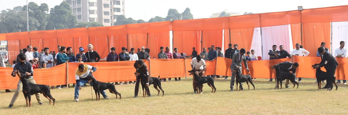 रिजर्व पुलिस लाइंस के मैदान में अवध केनेल क्लब की ओर से आयोजित डॉग शो 