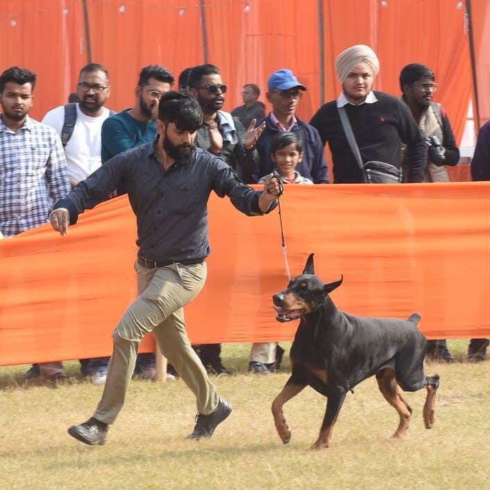 रिजर्व पुलिस लाइंस के मैदान में अवध केनेल क्लब की ओर से आयोजित डॉग शो 