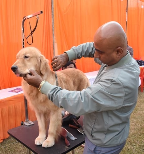 रिजर्व पुलिस लाइंस के मैदान में अवध केनेल क्लब की ओर से आयोजित डॉग शो 