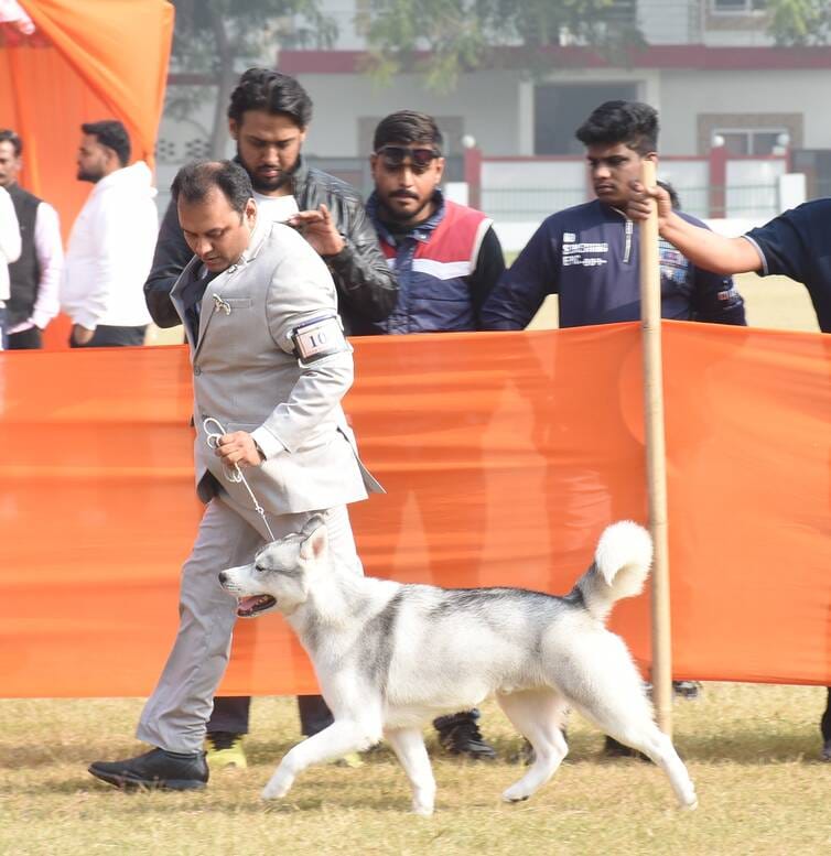 रिजर्व पुलिस लाइंस के मैदान में अवध केनेल क्लब की ओर से आयोजित डॉग शो 