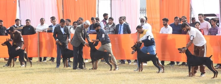 रिजर्व पुलिस लाइंस के मैदान में अवध केनेल क्लब की ओर से आयोजित डॉग शो 