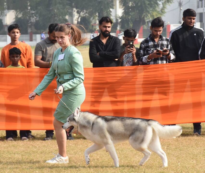 रिजर्व पुलिस लाइंस के मैदान में अवध केनेल क्लब की ओर से आयोजित डॉग शो 