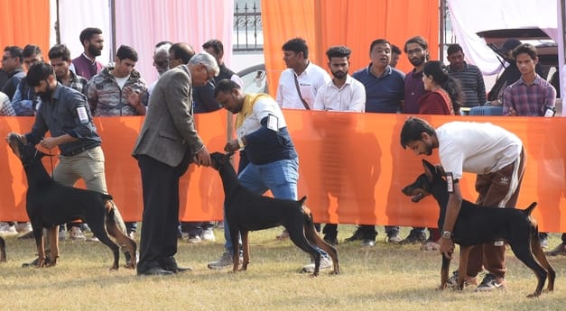 रिजर्व पुलिस लाइंस के मैदान में अवध केनेल क्लब की ओर से आयोजित डॉग शो 