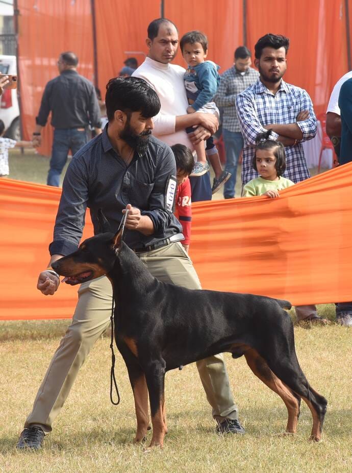 रिजर्व पुलिस लाइंस के मैदान में अवध केनेल क्लब की ओर से आयोजित डॉग शो 