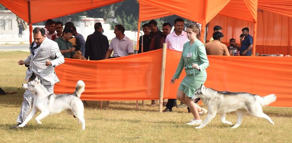 रिजर्व पुलिस लाइंस के मैदान में अवध केनेल क्लब की ओर से आयोजित डॉग शो 