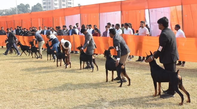रिजर्व पुलिस लाइंस के मैदान में अवध केनेल क्लब की ओर से आयोजित डॉग शो 
