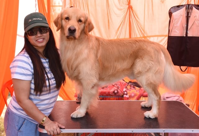 रिजर्व पुलिस लाइंस के मैदान में अवध केनेल क्लब की ओर से आयोजित डॉग शो 