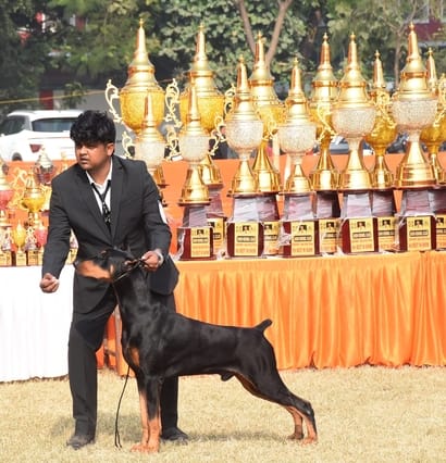 रिजर्व पुलिस लाइंस के मैदान में अवध केनेल क्लब की ओर से आयोजित डॉग शो 