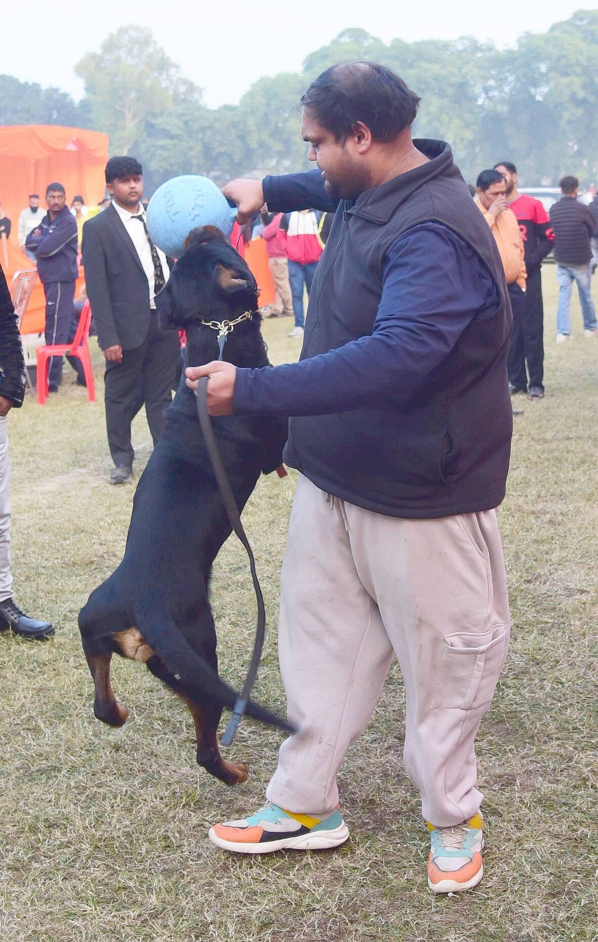 अवध केनेल क्लब की ओर से आयोजित दो दिवसीय डॉग शो में कोलकाता के गोल्डेन रिट्रिवर और हैदराबाद के 