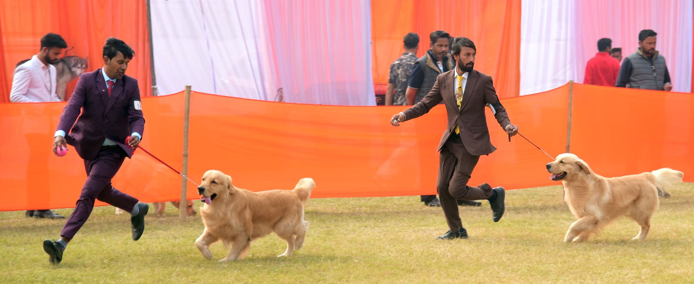 अवध केनेल क्लब की ओर से आयोजित दो दिवसीय डॉग शो में कोलकाता के गोल्डेन रिट्रिवर और हैदराबाद के 