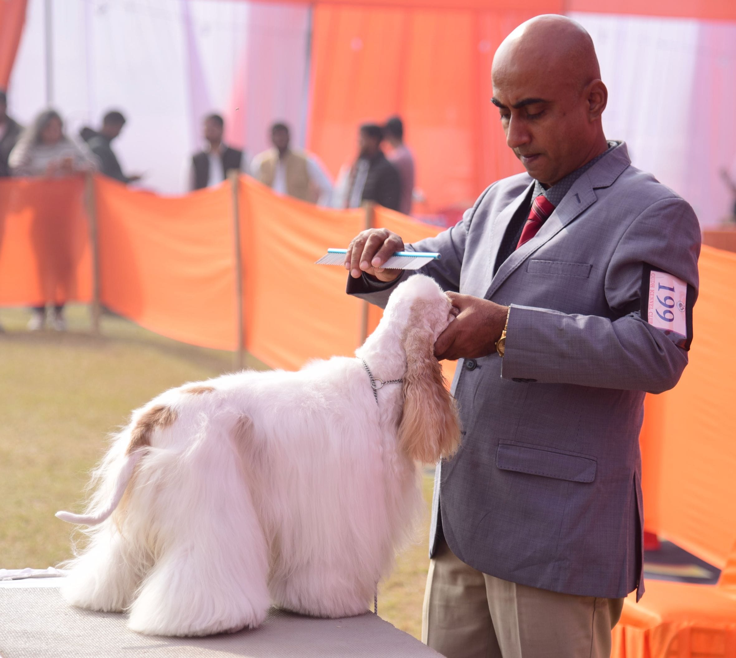 अवध केनेल क्लब की ओर से आयोजित दो दिवसीय डॉग शो में कोलकाता के गोल्डेन रिट्रिवर और हैदराबाद के 