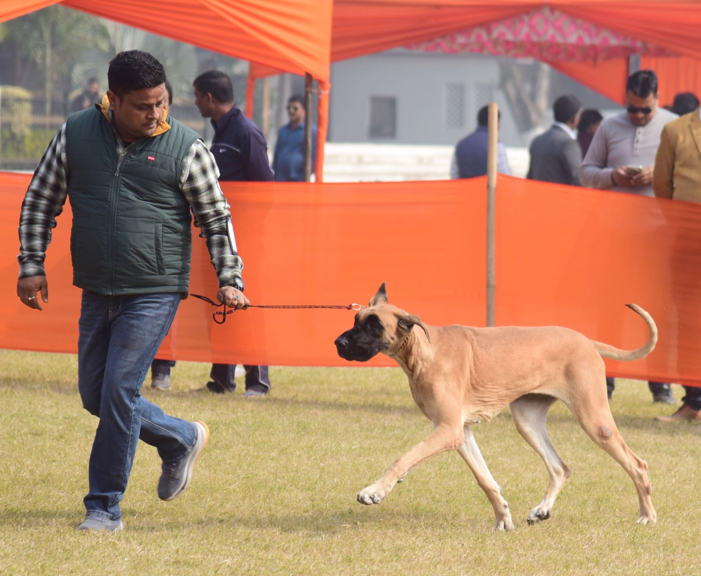 अवध केनेल क्लब की ओर से आयोजित दो दिवसीय डॉग शो में कोलकाता के गोल्डेन रिट्रिवर और हैदराबाद के 