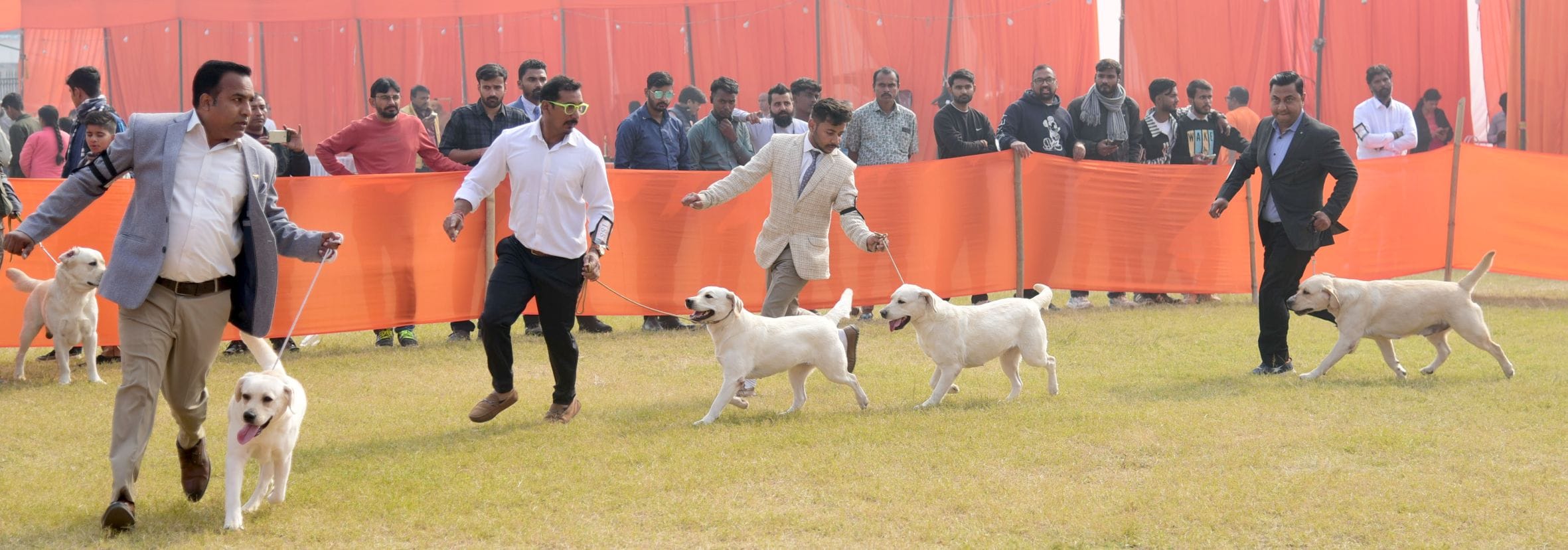 अवध केनेल क्लब की ओर से आयोजित दो दिवसीय डॉग शो में कोलकाता के गोल्डेन रिट्रिवर और हैदराबाद के 