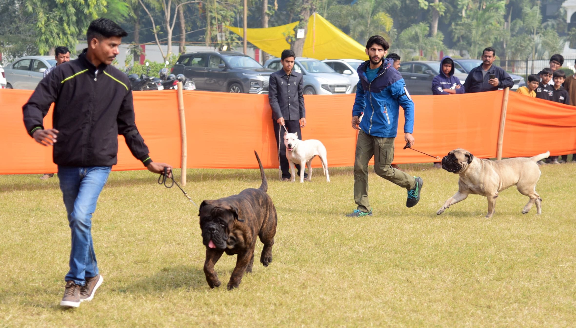 अवध केनेल क्लब की ओर से आयोजित दो दिवसीय डॉग शो में कोलकाता के गोल्डेन रिट्रिवर और हैदराबाद के 