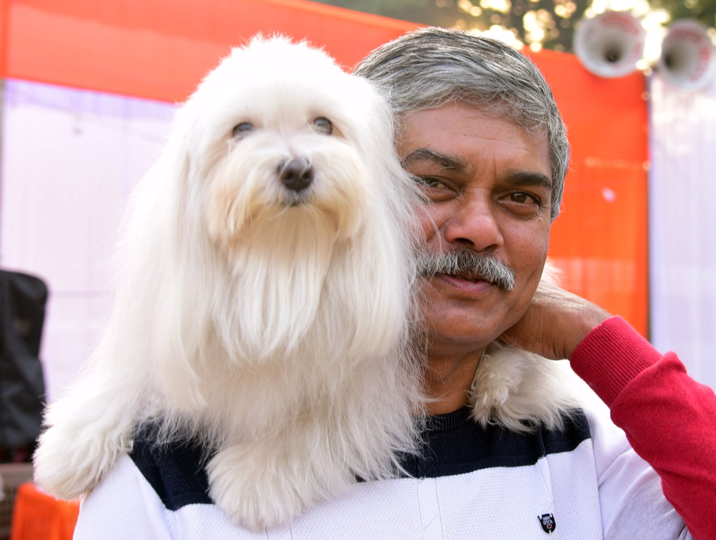 अवध केनेल क्लब की ओर से आयोजित दो दिवसीय डॉग शो में कोलकाता के गोल्डेन रिट्रिवर और हैदराबाद के 