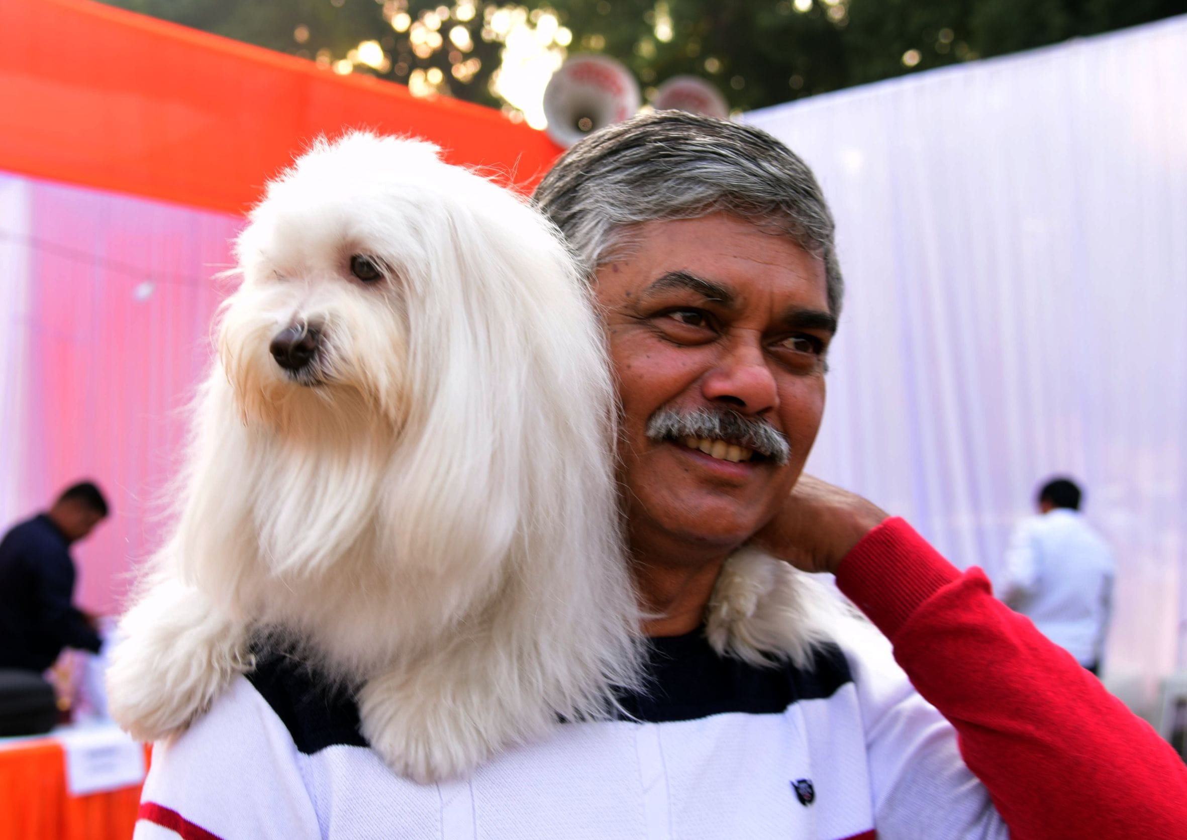 अवध केनेल क्लब की ओर से आयोजित दो दिवसीय डॉग शो में कोलकाता के गोल्डेन रिट्रिवर और हैदराबाद के 