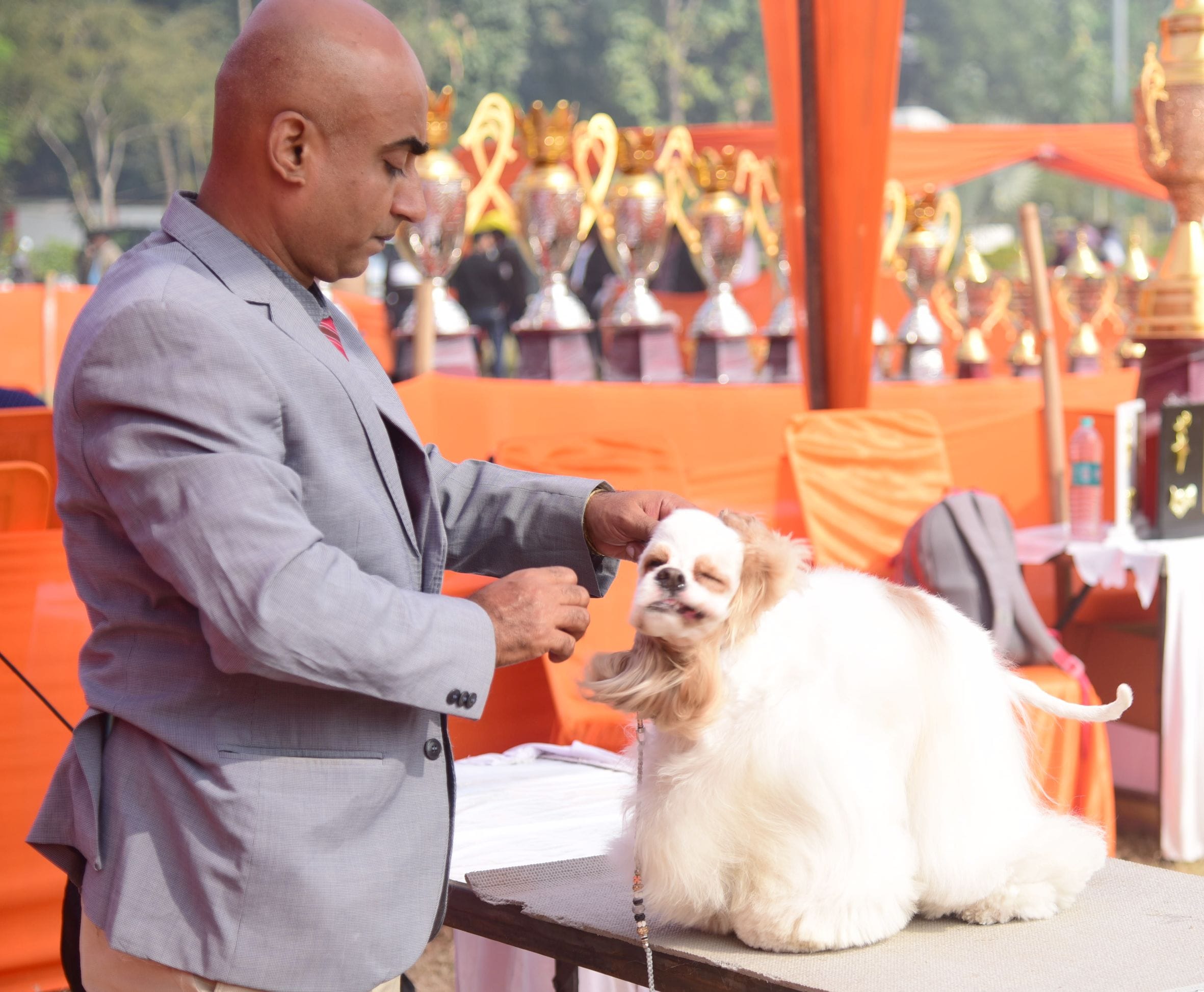 अवध केनेल क्लब की ओर से आयोजित दो दिवसीय डॉग शो में कोलकाता के गोल्डेन रिट्रिवर और हैदराबाद के 