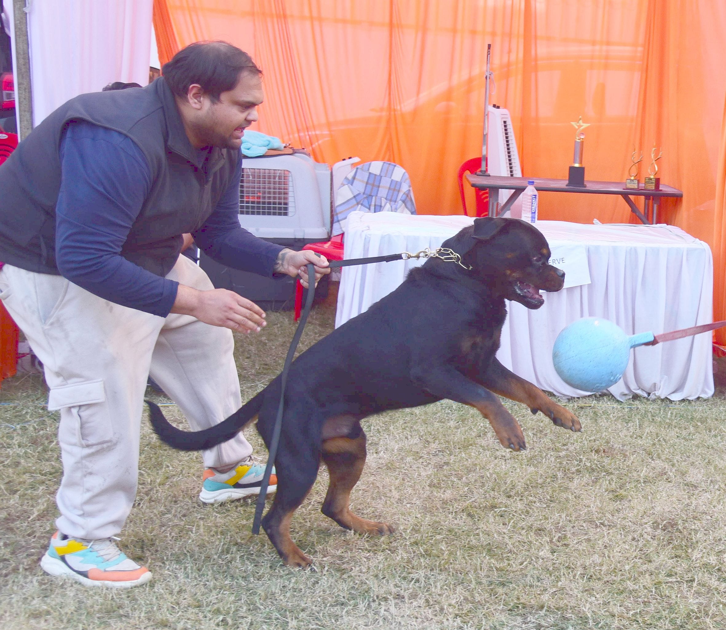 अवध केनेल क्लब की ओर से आयोजित दो दिवसीय डॉग शो में कोलकाता के गोल्डेन रिट्रिवर और हैदराबाद के 