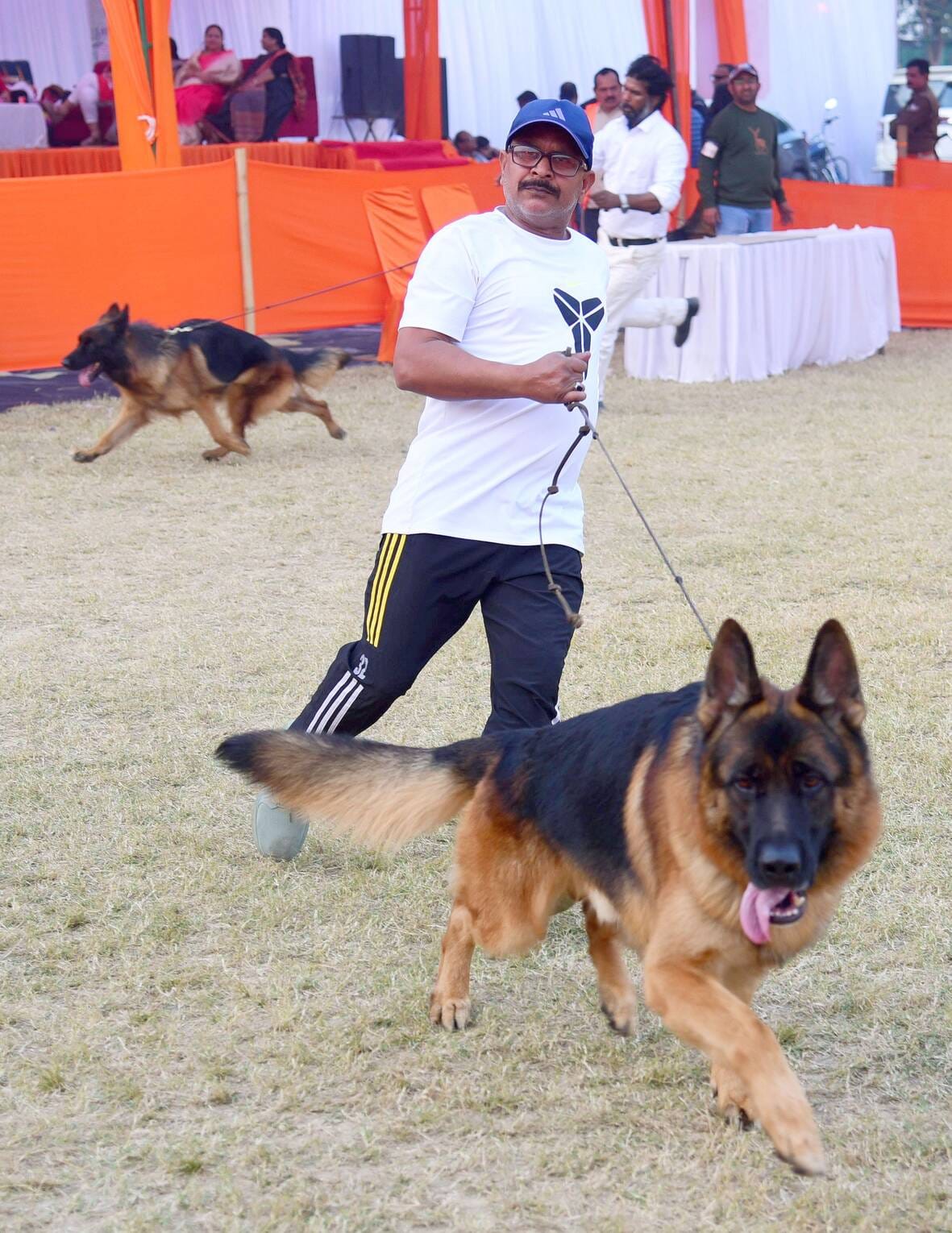 अवध केनेल क्लब की ओर से आयोजित दो दिवसीय डॉग शो में कोलकाता के गोल्डेन रिट्रिवर और हैदराबाद के 