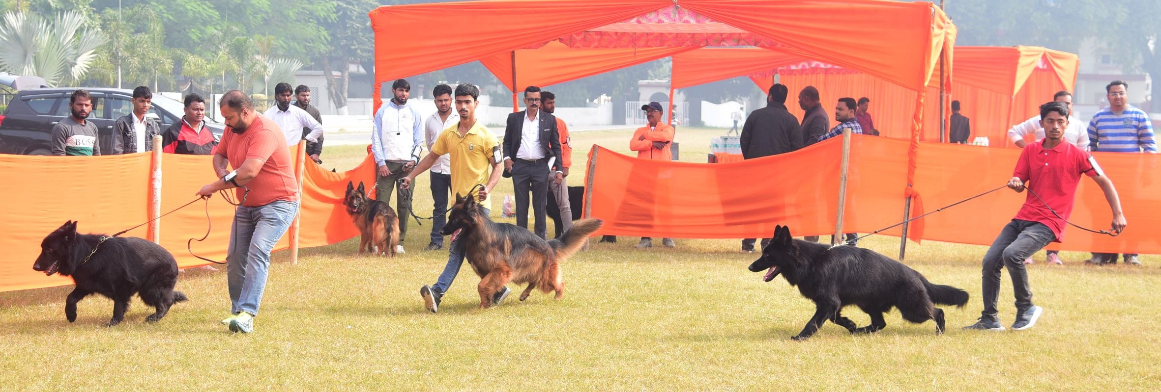 अवध केनेल क्लब की ओर से आयोजित दो दिवसीय डॉग शो में कोलकाता के गोल्डेन रिट्रिवर और हैदराबाद के 