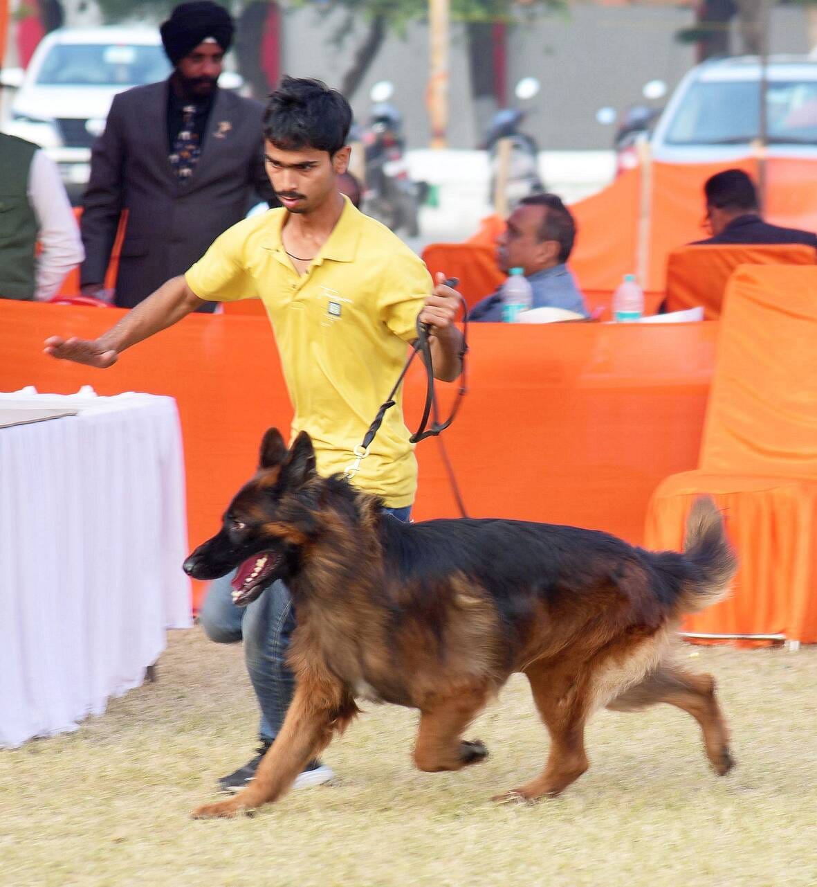 अवध केनेल क्लब की ओर से आयोजित दो दिवसीय डॉग शो में कोलकाता के गोल्डेन रिट्रिवर और हैदराबाद के 