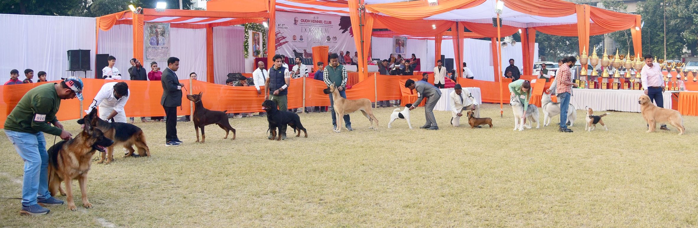 अवध केनेल क्लब की ओर से आयोजित दो दिवसीय डॉग शो में कोलकाता के गोल्डेन रिट्रिवर और हैदराबाद के 
