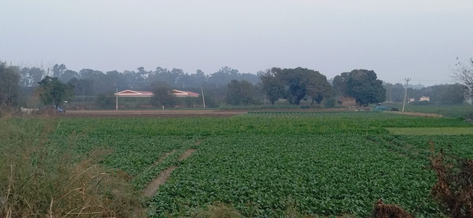 कुरुक्षेत्र। मौसम विशेषज्ञ डॉ. ममता। संवाद
