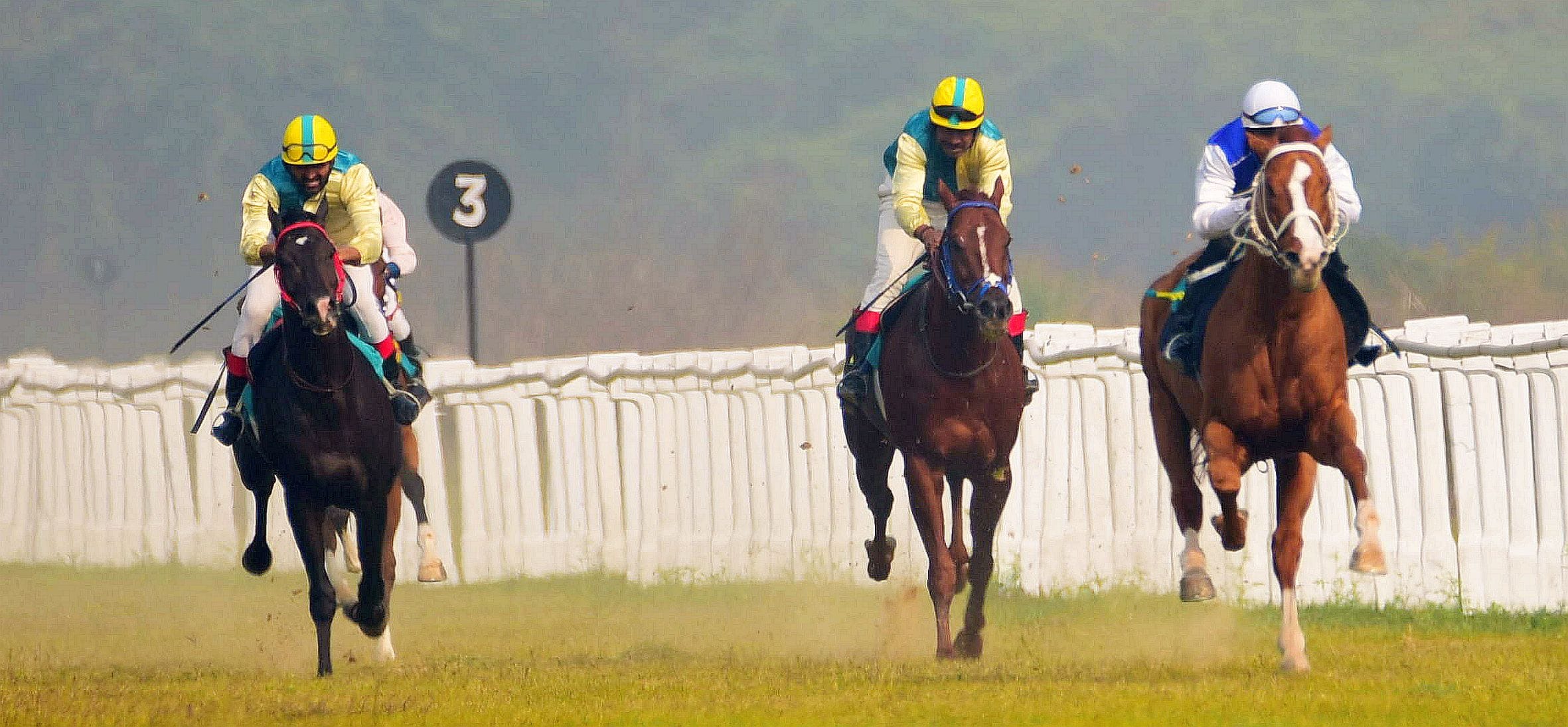 लखनऊ रेसकोर्स में आयोजित मिलेनियम कप की झलकियां। लखनऊ रेसकोर्स में आयोजित मिलेनियम कप की झलकियां।