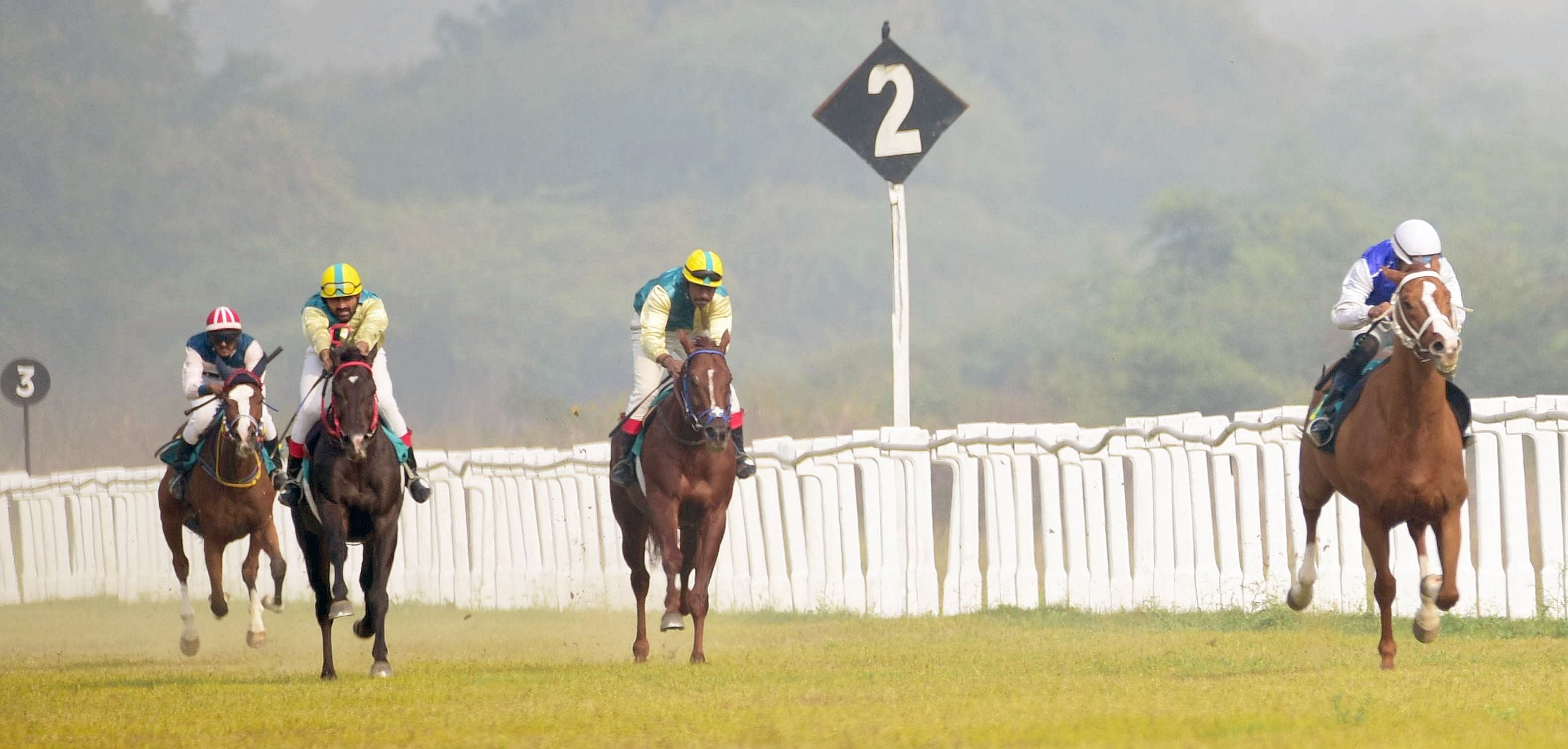लखनऊ रेसकोर्स में आयोजित मिलेनियम कप की झलकियां। लखनऊ रेसकोर्स में आयोजित मिलेनियम कप की झलकियां।