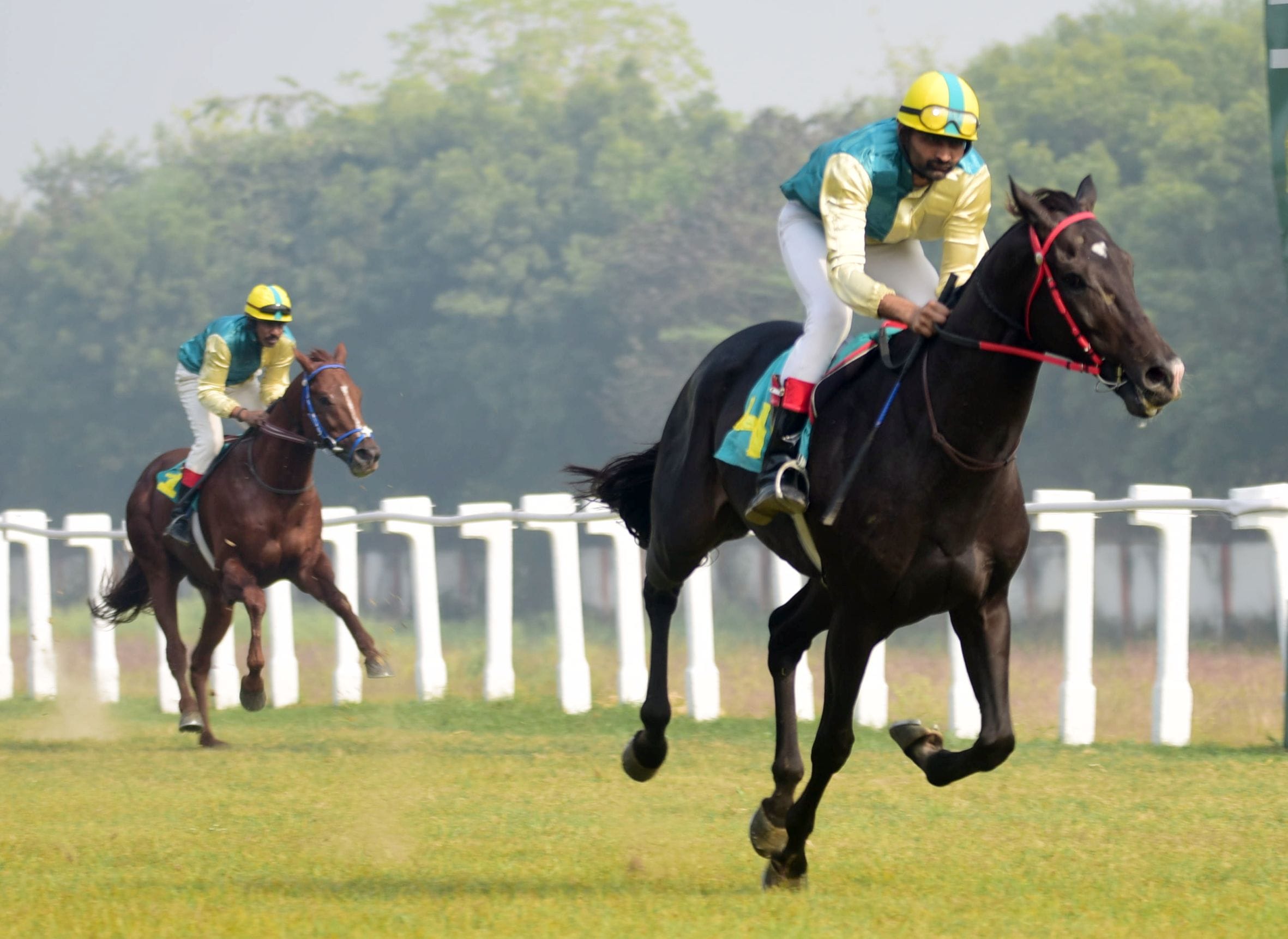 लखनऊ रेसकोर्स में आयोजित मिलेनियम कप की झलकियां। लखनऊ रेसकोर्स में आयोजित मिलेनियम कप की झलकियां।