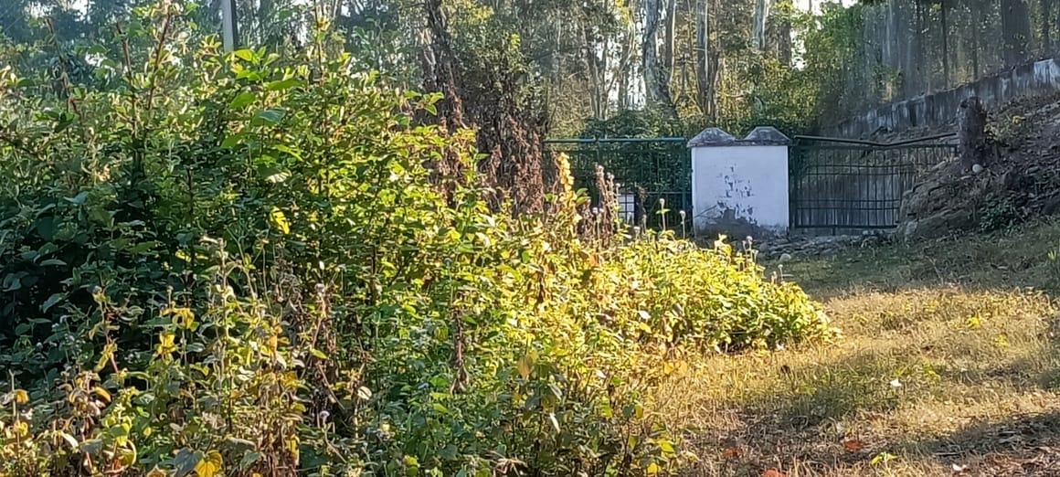 नगर परिषद घुमारवीं में स्थित पार्क में टूटे झूले। संवाद नगर परिषद घुमारवीं में स्थित पार्क में टूटे झूले। संवाद