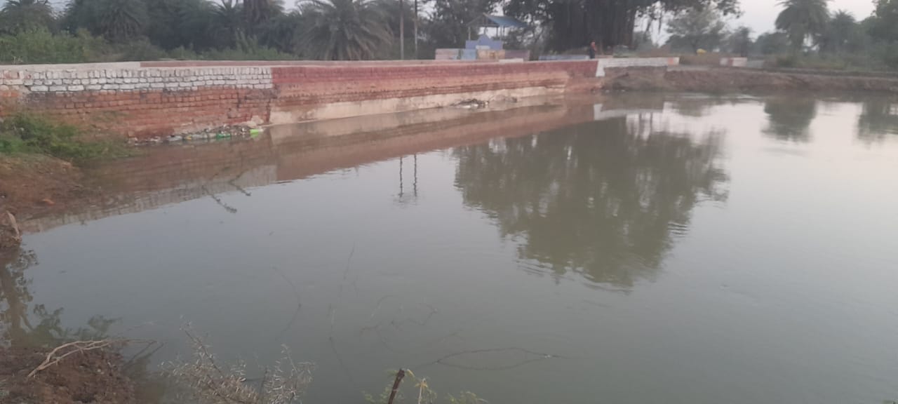 नहर ओवरफ्लो, होने से किसानों की फसल हुई जलमग्न नहर ओवरफ्लो, होने से किसानों की फसल हुई जलमग्न
