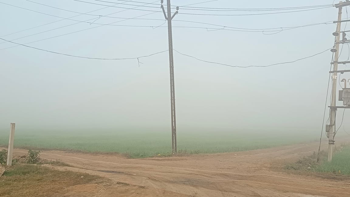 शहर के जलबेड़ा गांव के पास खेतों में सुबह छाया घना कोहरा। संवाद शहर के जलबेड़ा गांव के पास खेतों में सुबह छाया घना कोहरा। संवाद