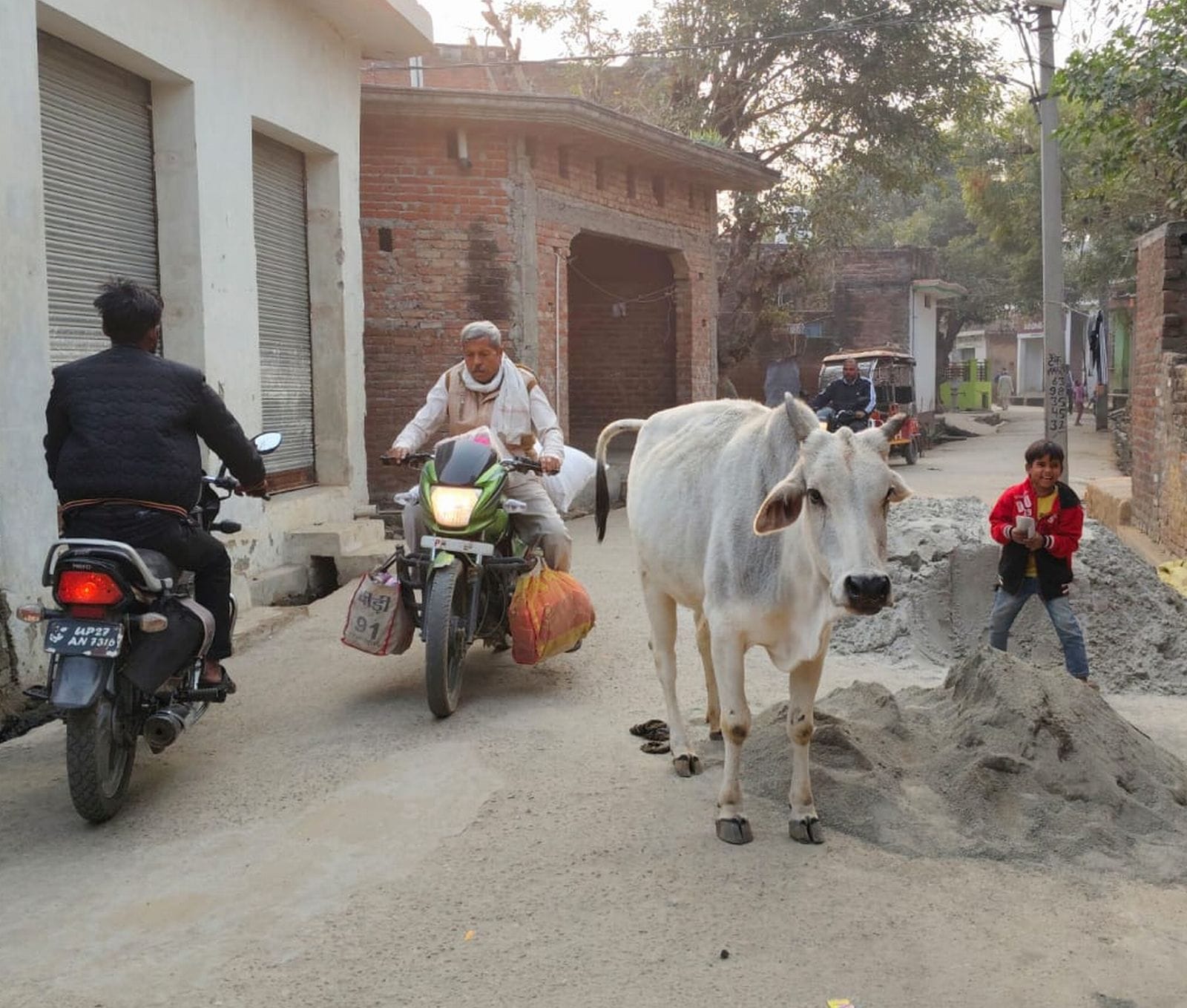 दहगवां क्षेत्र के सिलहरी में गोशाला बंद होने इके बाद पास के हाईवे पर गोवंश। संवाद