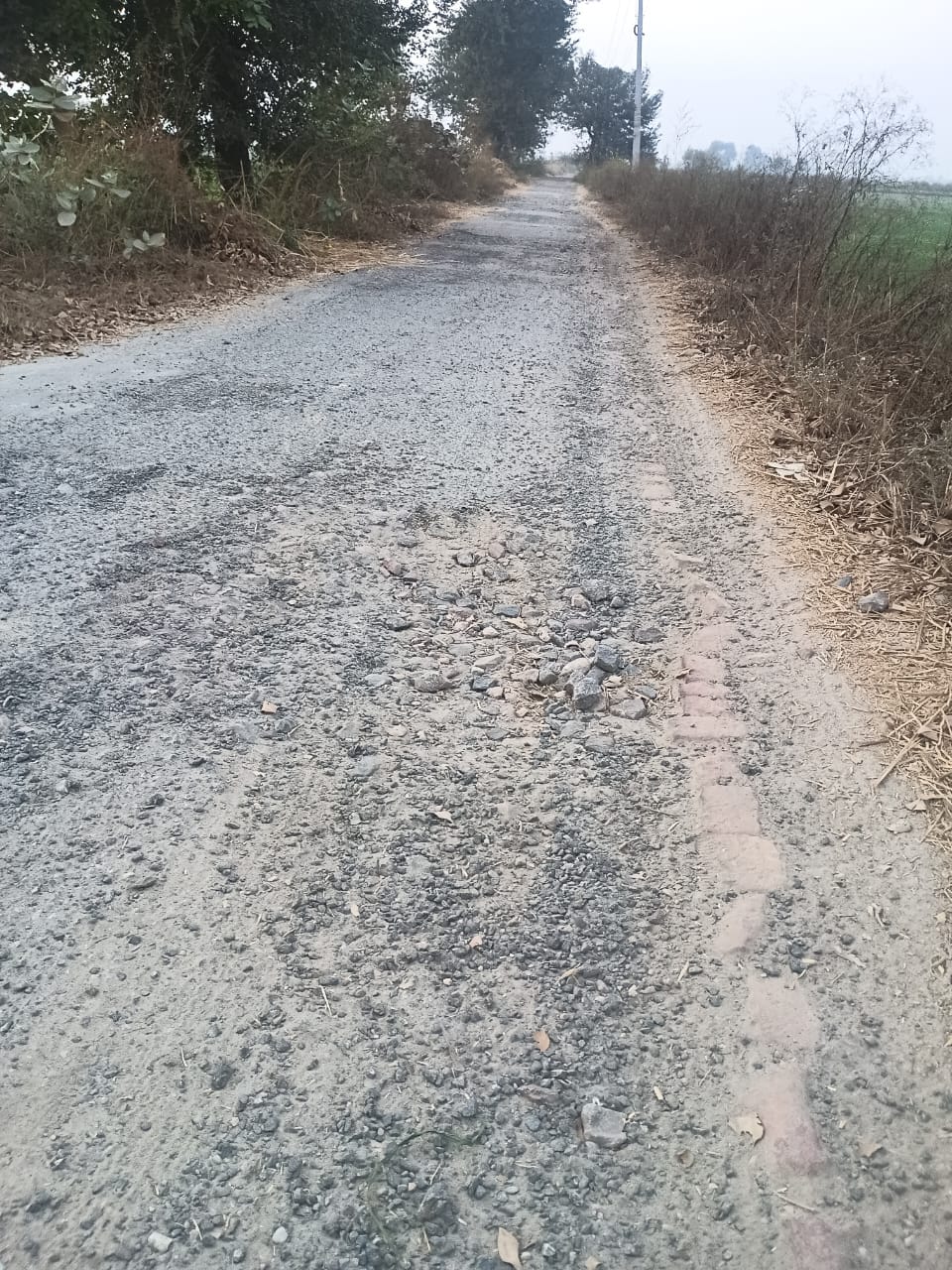 कालखा-ब्राह्मण माजरा रोड पर बने गहरे गड्ढे। संवाद