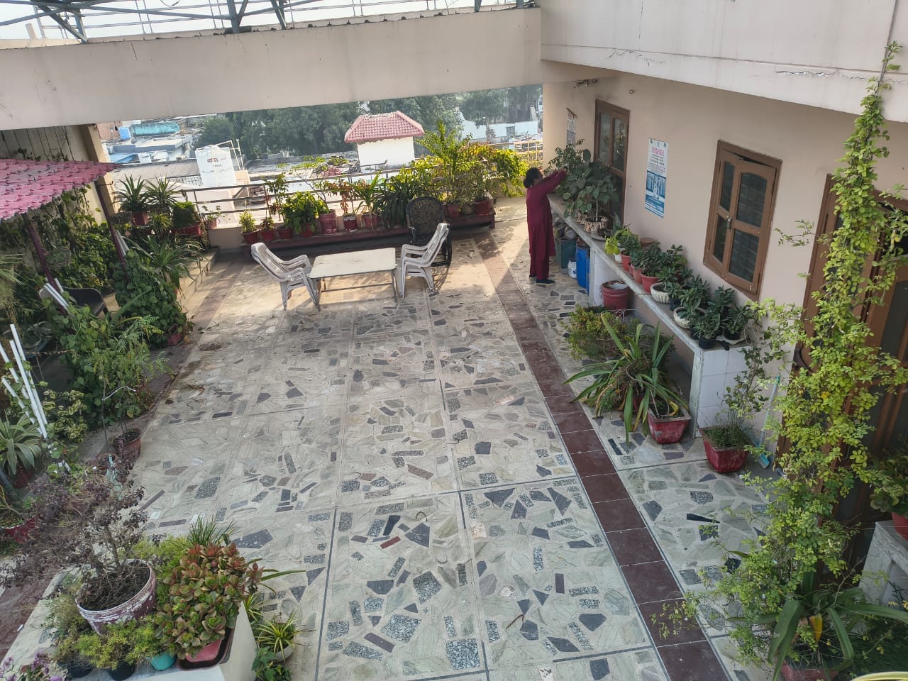 कुतुबपुर में रजनी भार्गव ने घर में बनाया बगीचा। संवाद