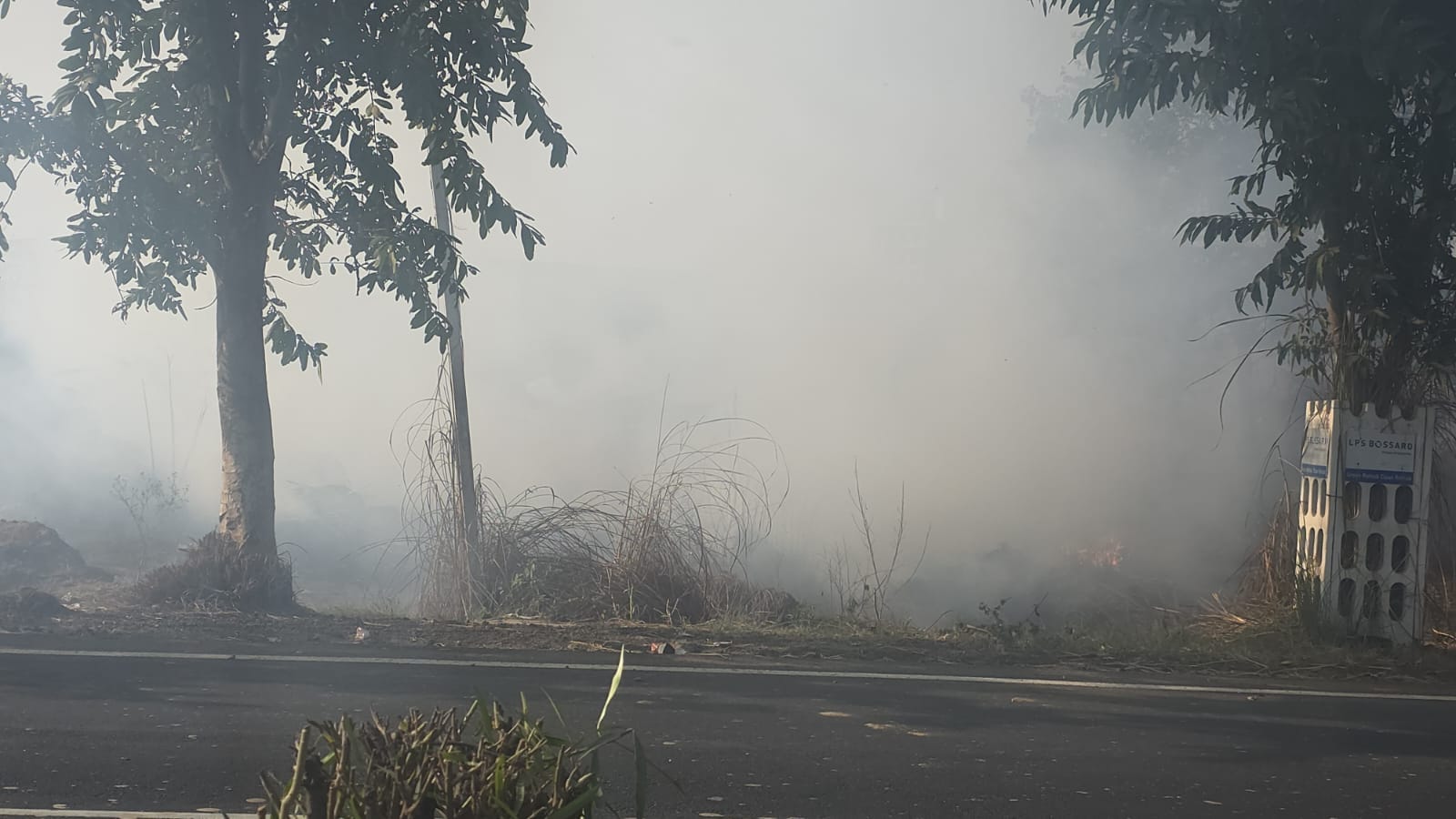 40...रोहतक रेलवे स्टेशन के निकट घने कोहरे के दौरान ट्रेन के आगे से अपनी जान की परवाह किए बगैर स