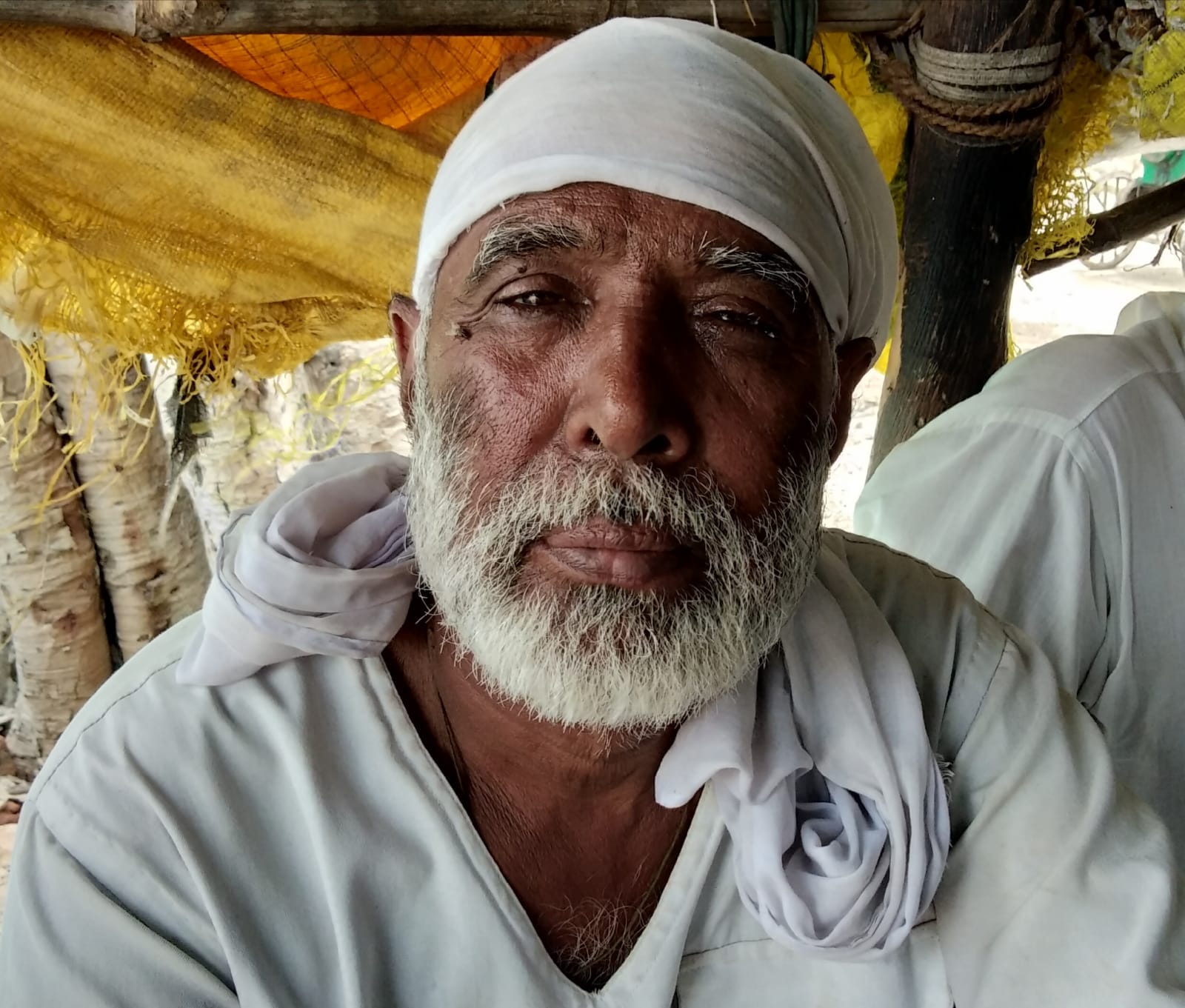 फोटो - 08 खेत में हरी मटर तोड़ते मजदूर। संवाद