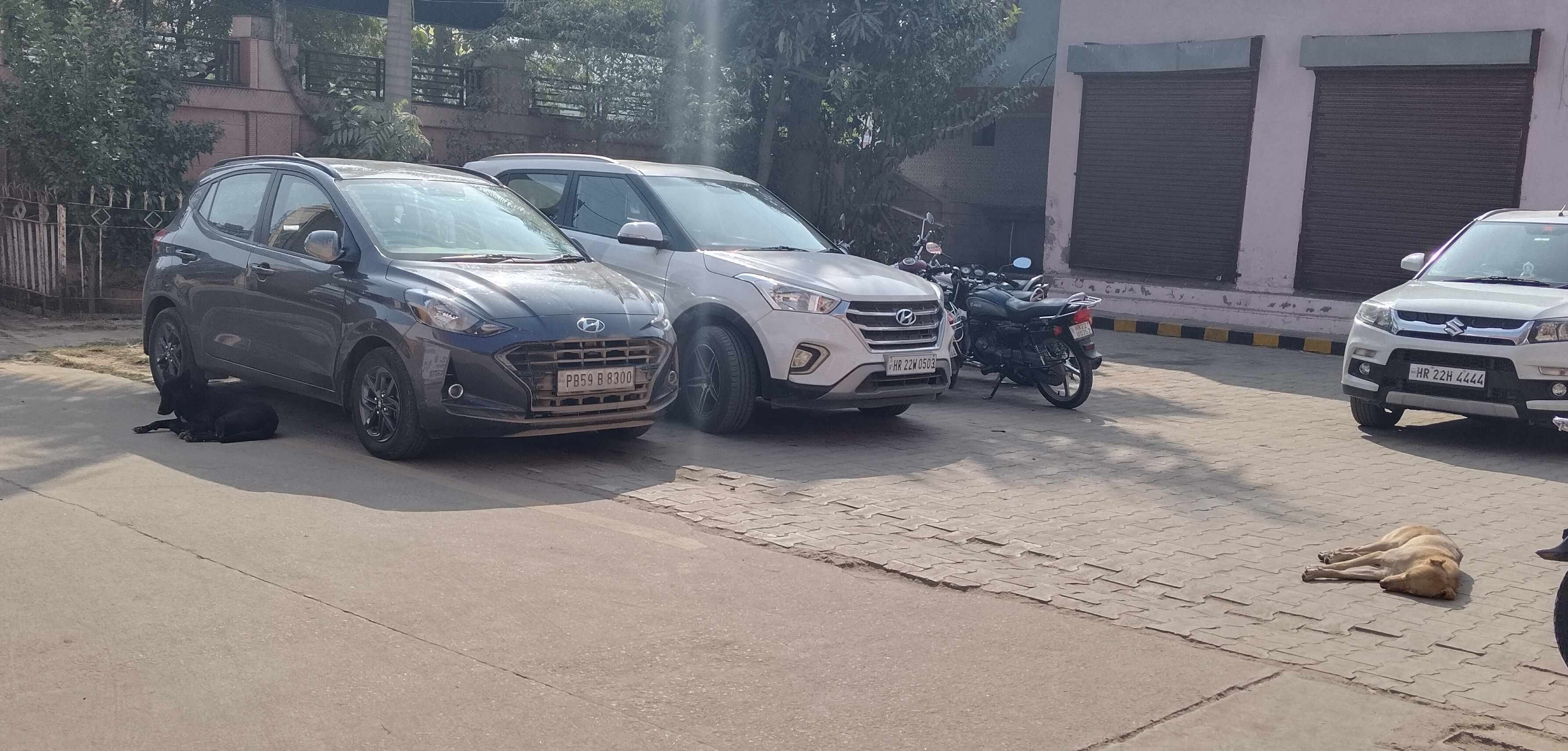 फतेहाबाद। आवारा कुत्तों के टीकाकरण व नसबंदी कार्य को लेकर संबंधित अधिकारियों की बैठक लेकर आवश्य फतेहाबाद। आवारा कुत्तों के टीकाकरण व नसबंदी कार्य को लेकर संबंधित अधिकारियों की बैठक लेकर आवश्य