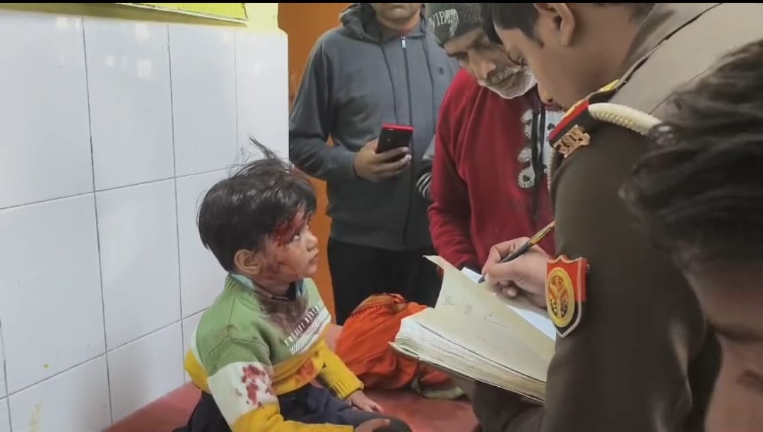 फोटो 16 एचएएमपी 21- सड़क पर पलटी वैन। संवाद