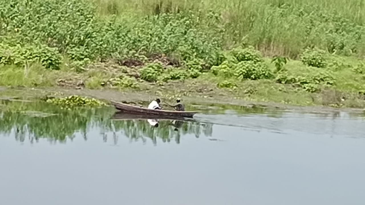 शारदा डैम में प्रवासी पक्षियोंं की मौजूदगी। संवाद