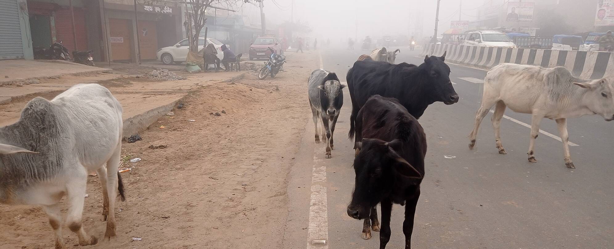 निगोही में हाईवे पर नहीं पड़ी सफेद पट्टी। संवाद निगोही में हाईवे पर नहीं पड़ी सफेद पट्टी। संवाद