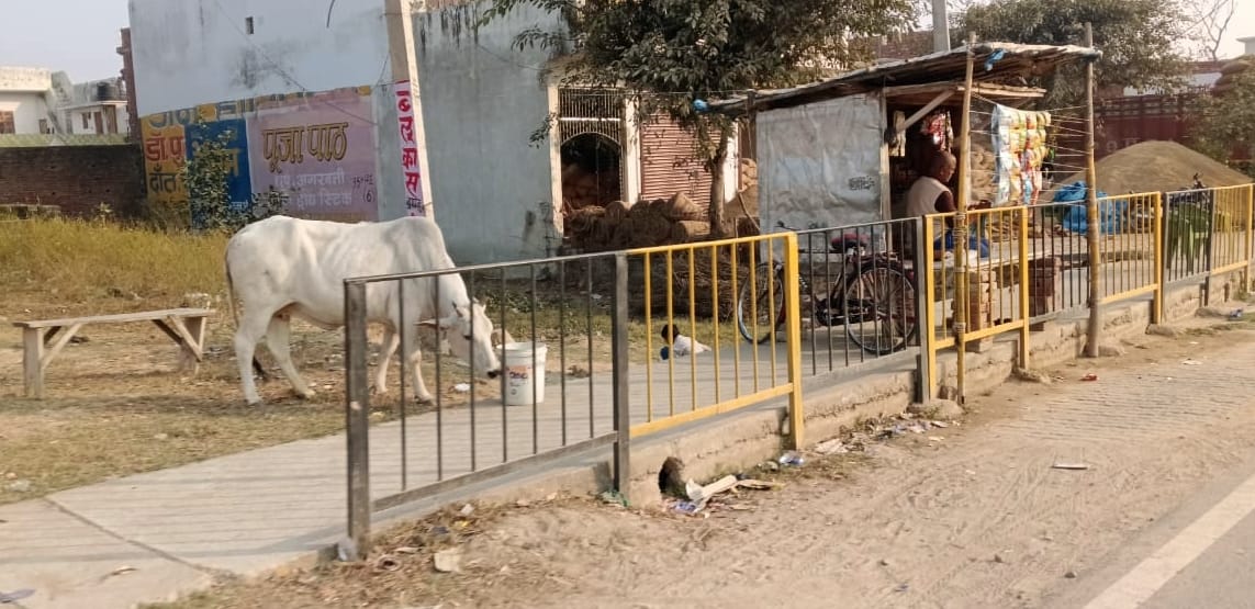 निगोही में हाईवे पर नहीं पड़ी सफेद पट्टी। संवाद निगोही में हाईवे पर नहीं पड़ी सफेद पट्टी। संवाद