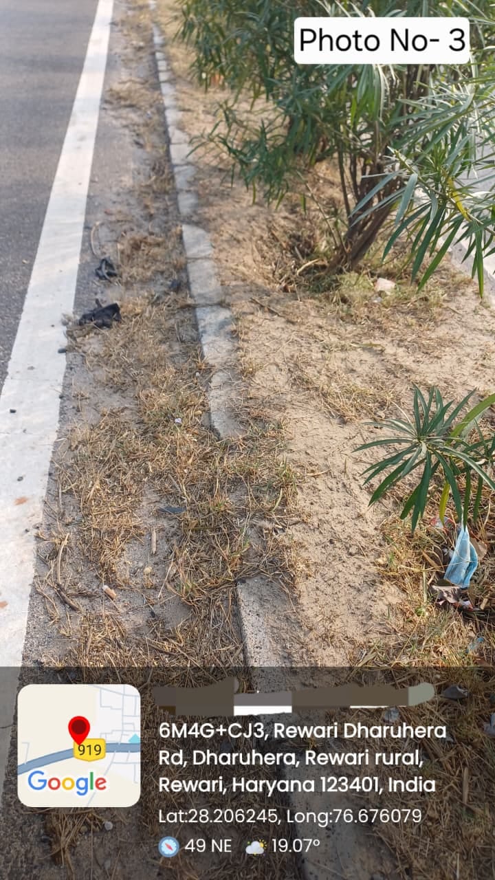 सड़क के किनारे तक आईं झाड़ियांं। संवाद