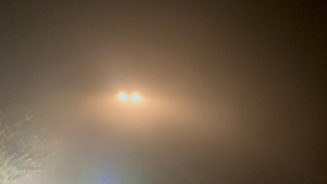 41...रोहतक में घने कोहरे और खराब वायु गुणवत्ता के दौरान विद्यालय में जाते विद्यार्थी। संवाद