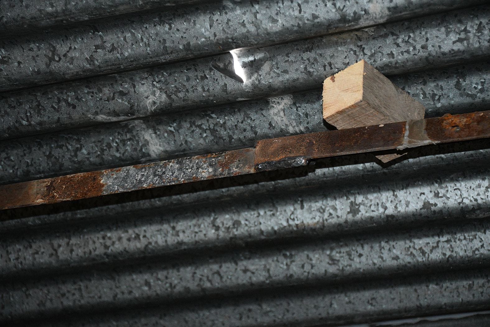 अस्पताल में भर्ती लक्ष्मी व उसके सिर से निकाली गई गोली।