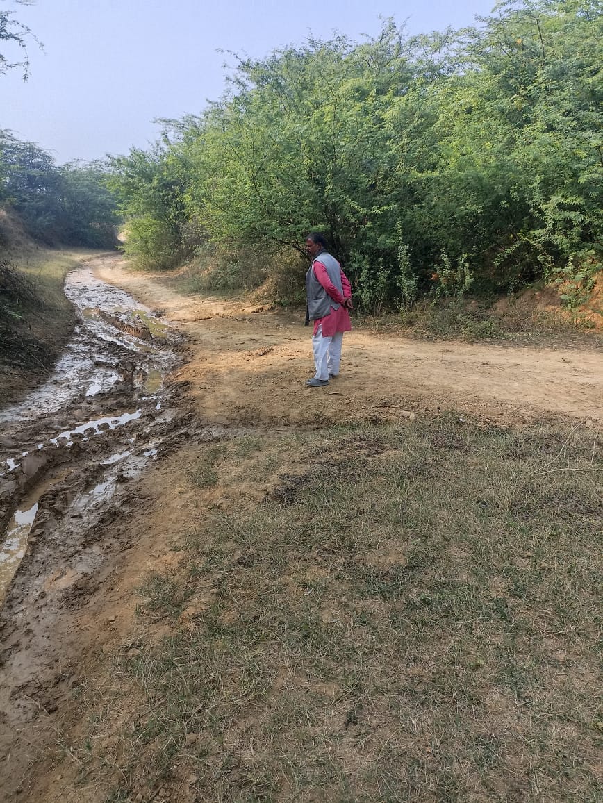 फोटो 19 एचएएमपी 01- बांस के बने जुगाड़ पुल से निकलने को मजबूर ग्रामीण। संवाद