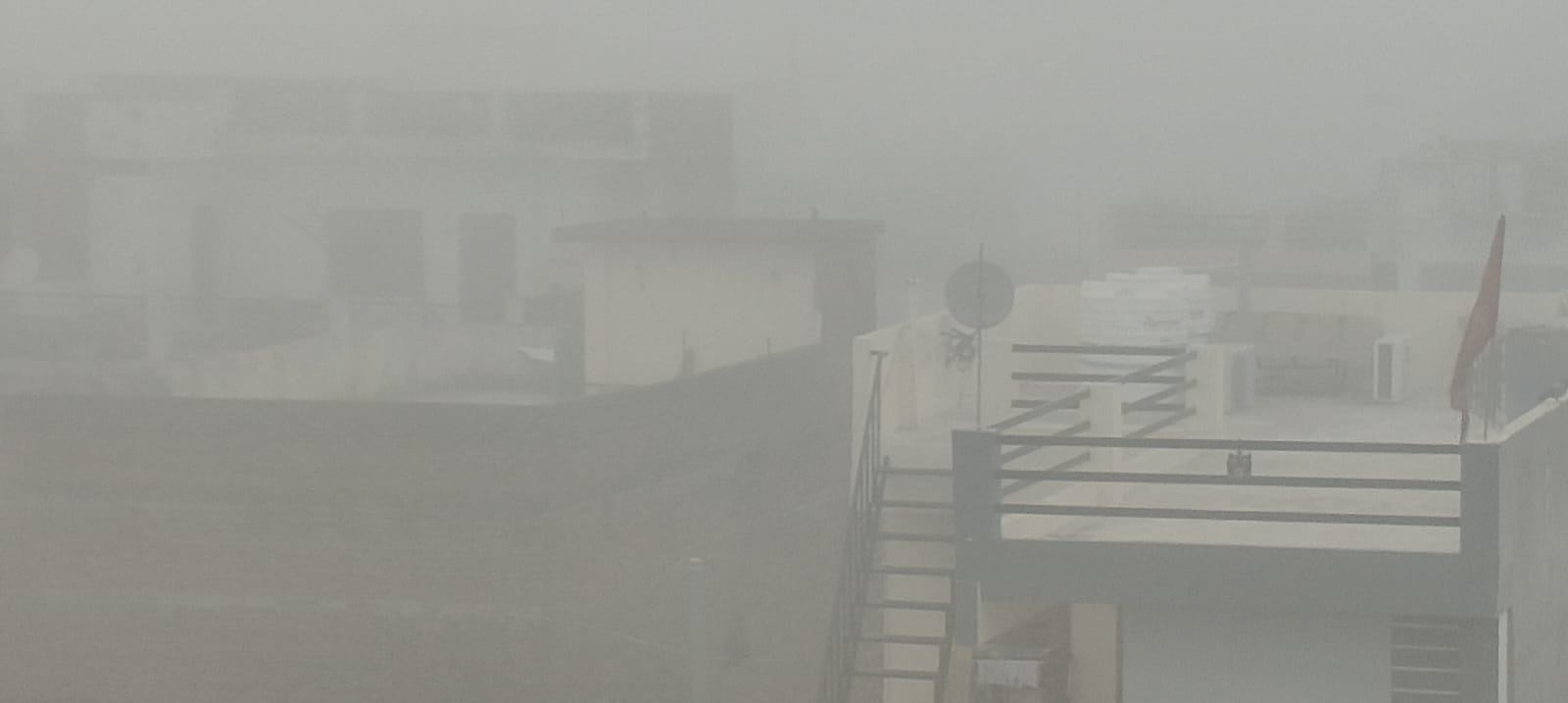 फोटो20 एचएएमपी 16- घने कोहरे व ठंड में छत की मगरी पर बैठे कबूतर। संवाद फोटो20 एचएएमपी 16- घने कोहरे व ठंड में छत की मगरी पर बैठे कबूतर। संवाद