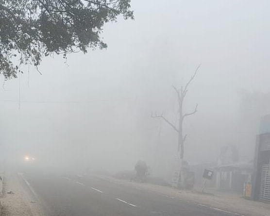 फोटो20 एचएएमपी 16- घने कोहरे व ठंड में छत की मगरी पर बैठे कबूतर। संवाद फोटो20 एचएएमपी 16- घने कोहरे व ठंड में छत की मगरी पर बैठे कबूतर। संवाद