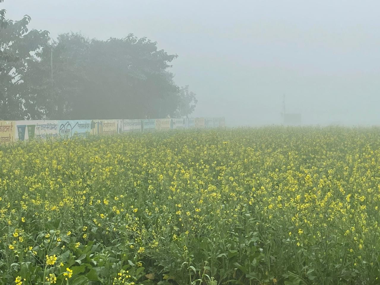 कुरुक्षेत्र। कोहरे में दिन के समय भी लाइटें जलाकर चलते रहे वाहन। संवाद कुरुक्षेत्र। कोहरे में दिन के समय भी लाइटें जलाकर चलते रहे वाहन। संवाद